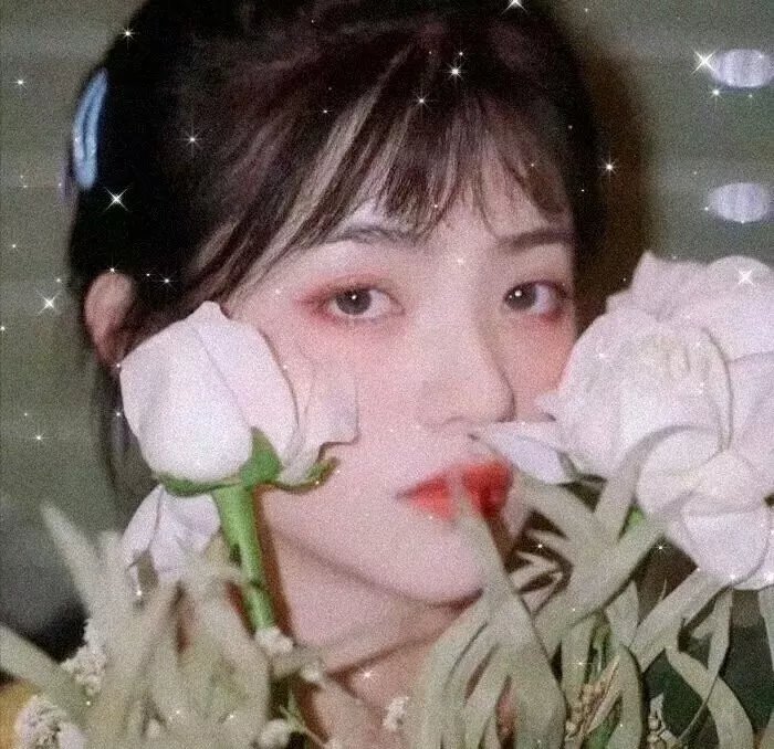 粉色水仙